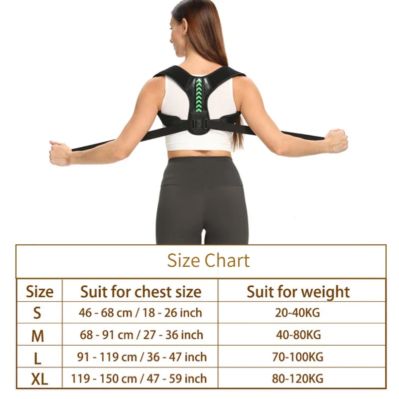 Back Support Comfort Belt